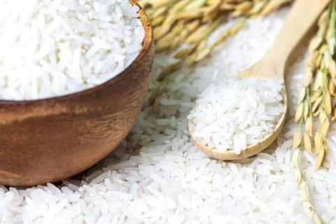 Rice Foto stock