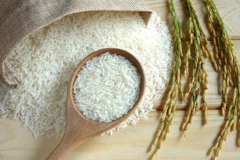 Rice Stock Photos