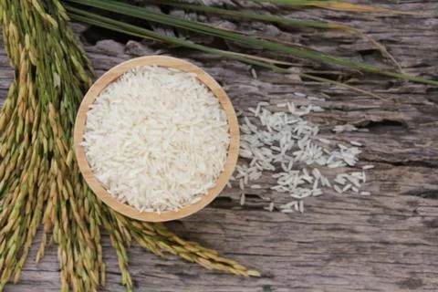 Rice Foto stock