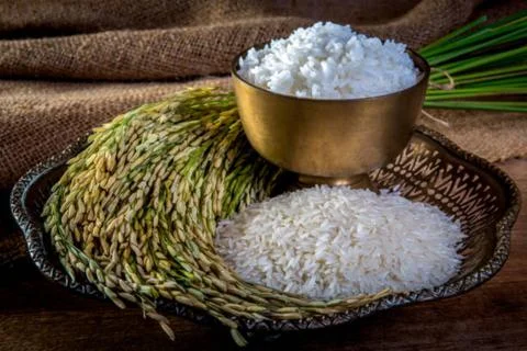 Rice Stock Photos