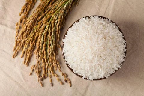 Rice Stock-Fotos