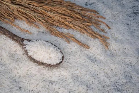 Rice Stock Photos