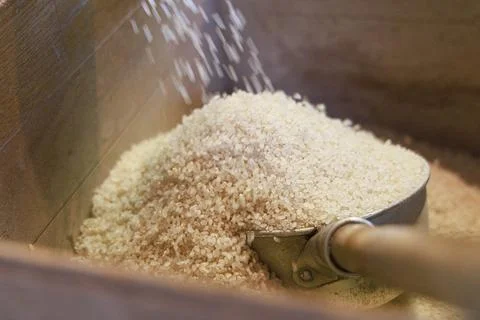 Rice Stock Photos