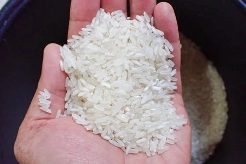 Rice Foto stock