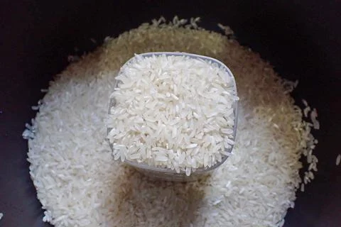 Rice Stock Photos