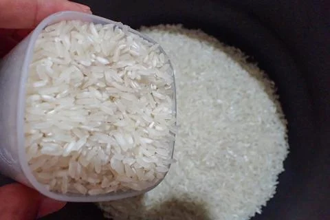 Rice 库存照片