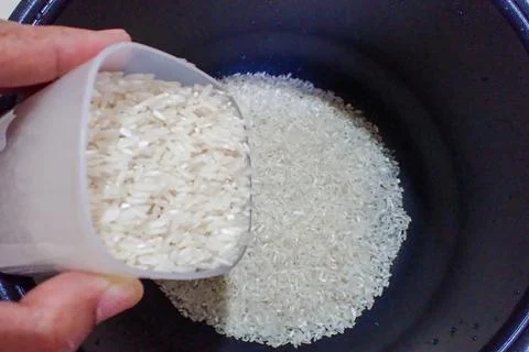 Rice Stock-Fotos