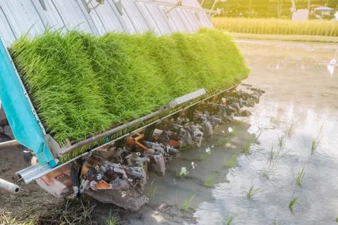 Rice plant machine Stock Photos