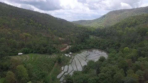 Rice plantations, Doi Inthanon, Chiang Mai, Thailand Stock Footage
