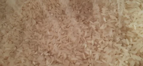 Rice Pouring into a Large Pile of Raw Rice Grains 動画素材 330404726