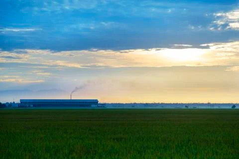 Rice processing factory Stock Photos