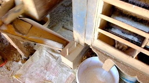 Rice production Stock Footage 45635171