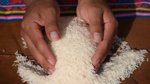 Rice raised by hands Stock Footage 129975304