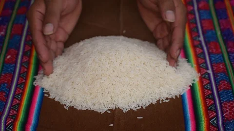 Rice raised by hands Stock Footage 129975757