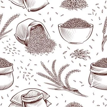Rice seamless pattern. Hand drawn bowl with rice grains and paddy ears vector Stock Illustration