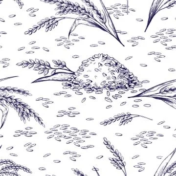 Rice seamless pattern. Hand drawn plant and grains texture, sketch of rice Stock Illustration
