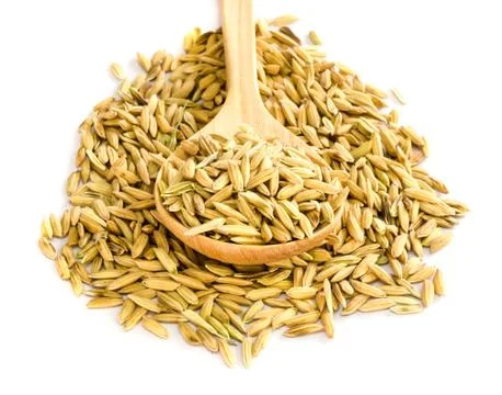 Rice seed. Stock Photos