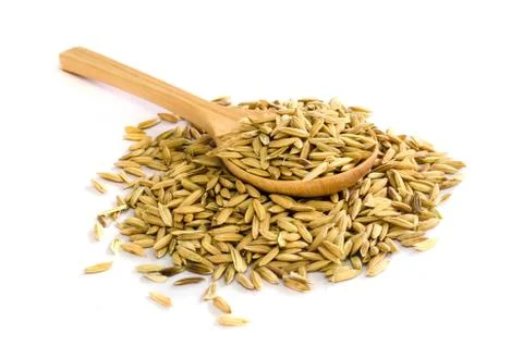 Rice seed. Stock Photos