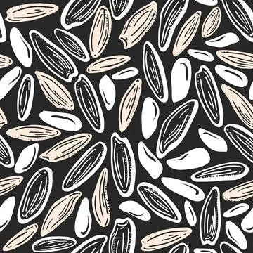 Rice seed. Vector seamless pattern. Raw white grain on black background. Natu Stock Illustration