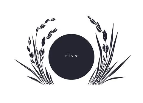 Rice template. Vector paddy field, grains. Graphic Stock Illustration