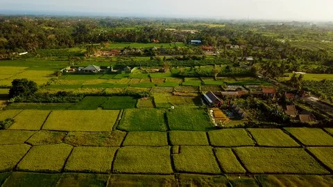 Rice Terrace Bali forward Stock Footage 106695368