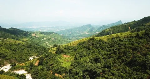 Rice terrace farming patterns on valley hillside in Asia, aerial tilting Stock Footage 113818065