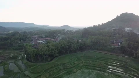 Rice Terrace Field located in Malang / Indonesia Видео 131076053
