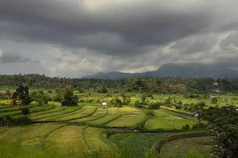Rice terrace fields of Karangasem district in Bali Stock Photos