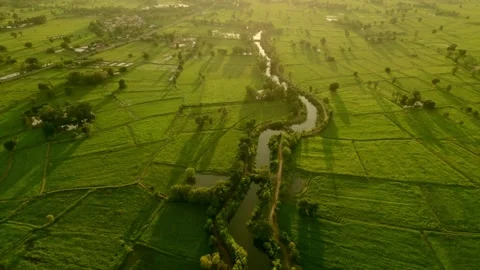 Rice terrace fields or Ladder rice field in aerial view at Thailand Rice fiel Stock Footage 256731438