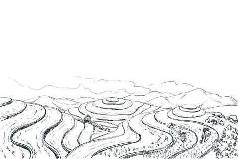 Rice terrace fields, vector sketch landscape illustration. Asian harvesting a Stock Illustration