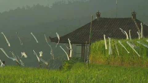 Rice terrace Stock Footage 10738405