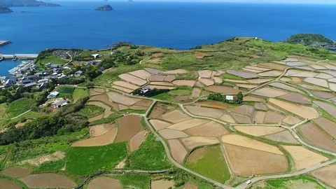 The rice terrace in Japan Stock-Footage 82629236