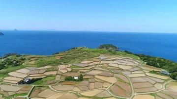 The rice terrace in Japan Stockbeeldmateriaal 86061130