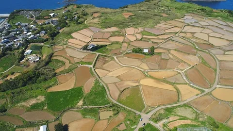 The rice terrace in Japan Stock-Footage 88844596