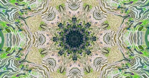 Rice terrace pattern Stock Photos