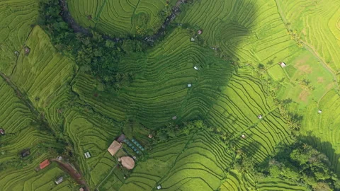 Rice Terrace texture Stock Footage 340968085