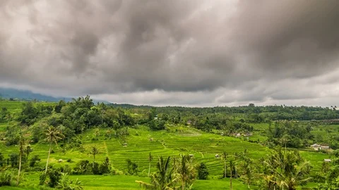 Rice terrace time lapse Vídeo Stock 76890420