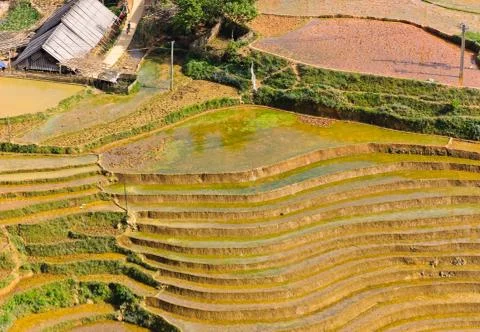 Rice terraced fields Stock Photos