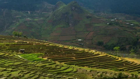Rice terraced valley, patchwork landscape, shadow and light caused by Video stock 242257894