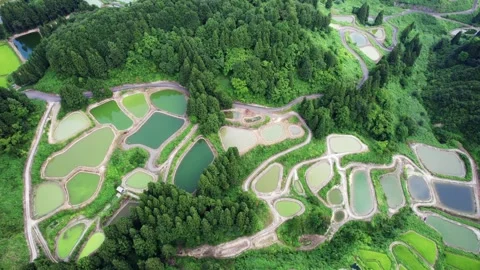 Rice terraces 2 Stock Footage 319906723