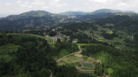 Rice terraces 4 Stock Footage 319906724
