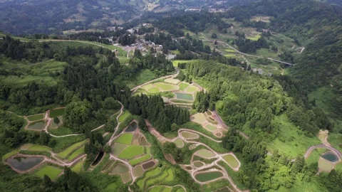 Rice terraces 5 Stock Footage 319906722