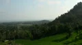 Rice terraces at Bali HD Footage