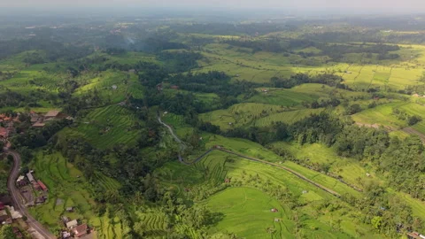 Rice Terraces in Bali Stock Footage 340967208