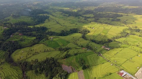 Rice Terraces in Bali Stock Footage 340968081