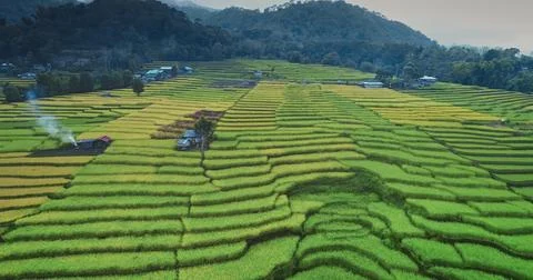 Rice terraces creating stunning patterns in the landscape Stock Photos