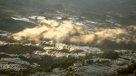 Rice Terraces Stock Footage 35803900