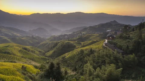 Rice Terraces Vídeo Stock 122523959