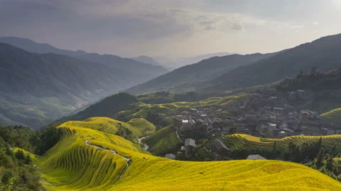 Rice Terraces Vídeo Stock 122524118