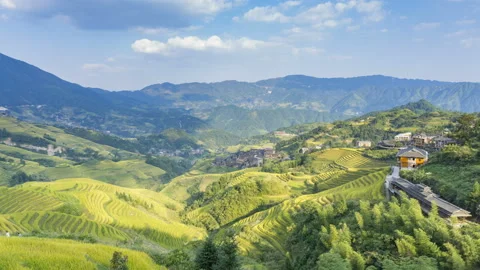 Rice Terraces Видео 122525871